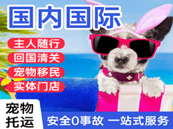 图木舒克唐王城航空邮寄国际宠物托运 【国